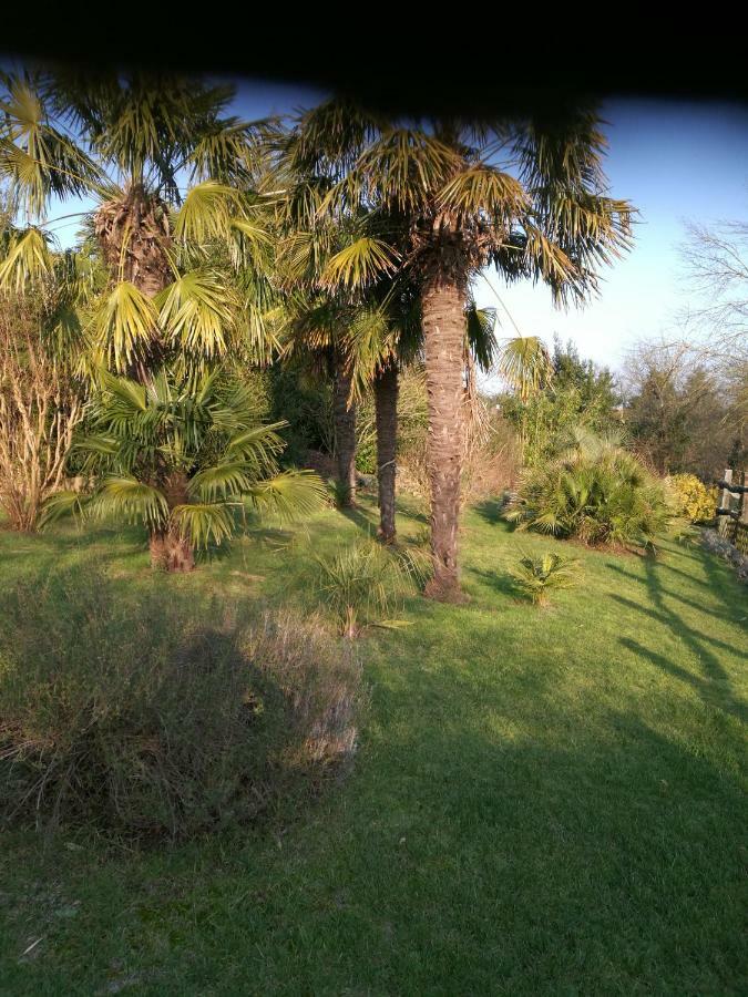Villa Le Coing La Guiltiere Exterior foto